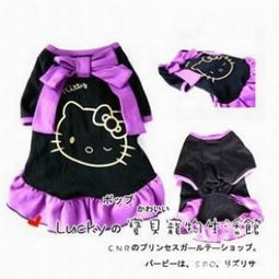 引領(lǐng)寵物時(shí)尚，打造溫馨生活 Dog Society 的寵物服飾與用品王國(guó)